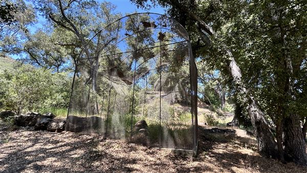 Peter Strauss Ranch - National Park Service (NPS) (5/8/2026 - Credits: Brandy Davis)