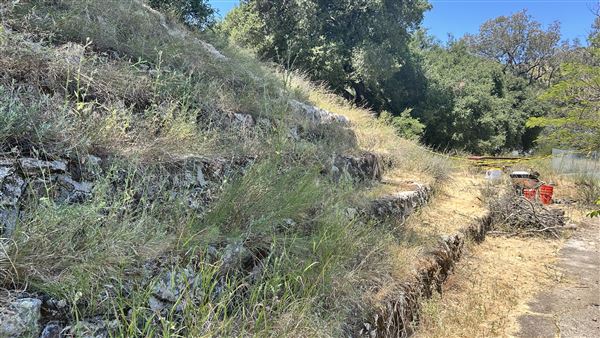 Peter Strauss Ranch - National Park Service (NPS) (5/8/2026 - Credits: Brandy Davis)