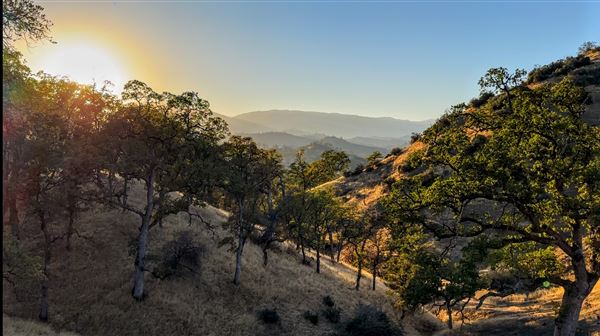Solace Ranch & Vineyard (Credits: Solace Ranch)