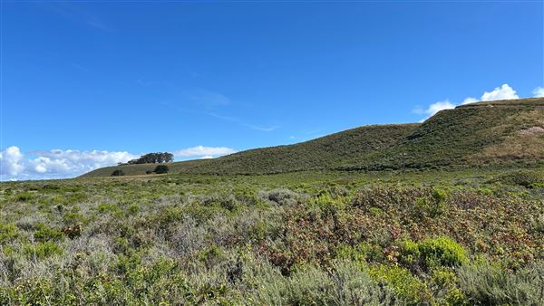Montana de Oro State Park (SP) (4/22/2026 - Credits: Leo Fialho)