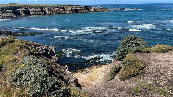 Montana de Oro State Park (SP) (4/22/2026 - Credits: Leo Fialho)