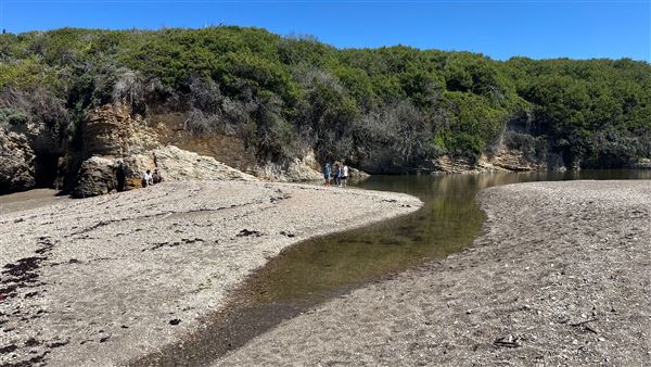 Montana de Oro State Park (SP) (4/22/2026 - Credits: Leo Fialho)