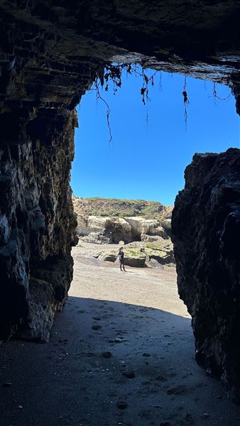 Montana de Oro State Park (SP) (4/22/2026 - Credits: Leo Fialho)