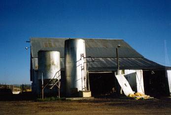 Maffia Dairy Ranch (12/31/2003)