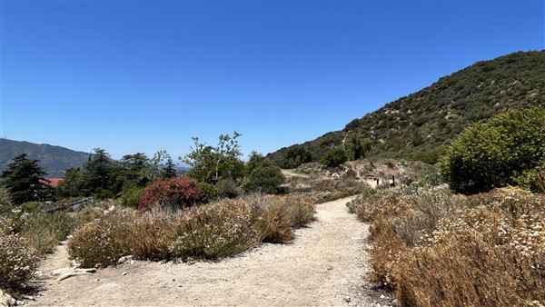 Deukmejian Wilderness Park (7/6/2026 - Credits: Brandy Davis)