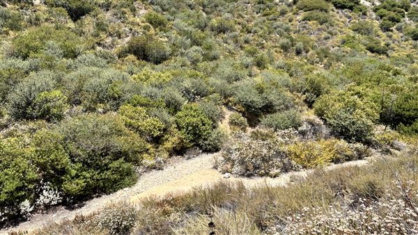 Deukmejian Wilderness Park (7/6/2026 - Credits: Brandy Davis)
