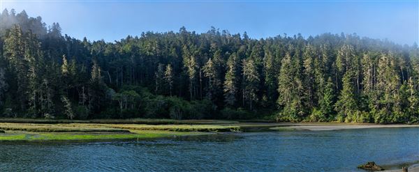 Mendocino Headlands State Park (SP) (7/15/2026 - Credits: submitted by: Tracy Weisberg)