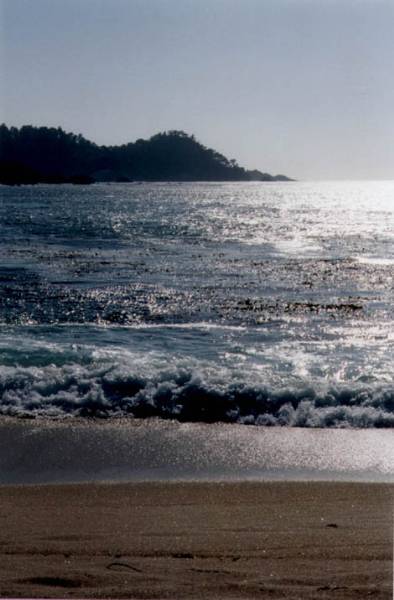 Middle Beach aka Ribera Beach @ Carmel River State Beach (SB) (12/31/2003)