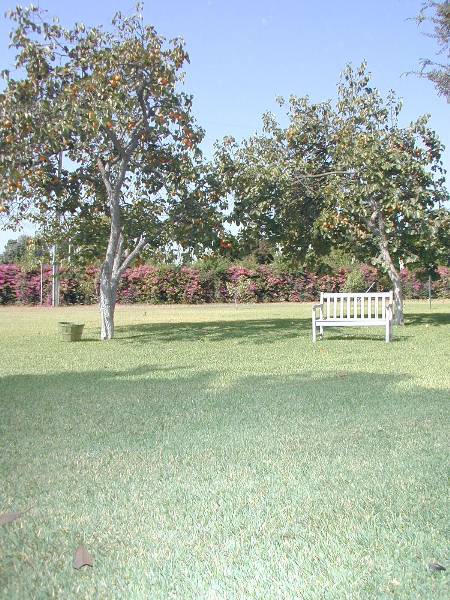Paddison Farm Victorian Estate (12/31/2003)