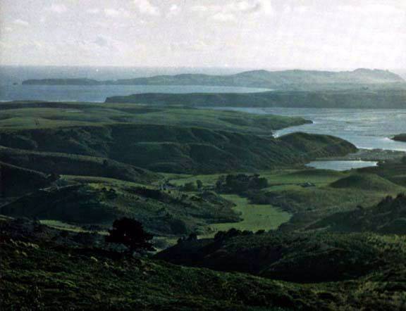 Point Reyes National Seashore, Drake Beach (12/31/2003)