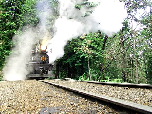 Roaring Camp Railroad (12/31/2003)