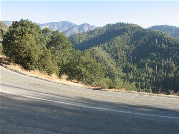 Giant Sequoia National Monument (9/22/2008 - Credits: LGFeldstein)