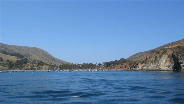 Catalina Island, Avalon Bay (7/27/2010 - Credits: Kent Matsuoka)