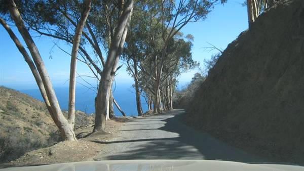 Catalina Island, Avalon Bay (7/27/2010 - Credits: Kent Matsuoka)