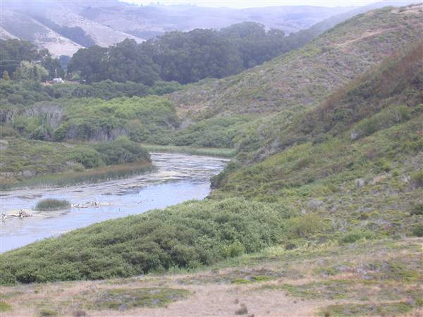 San Gregorio State Beach (SB) - San Gregorio Creek (8/3/2010)