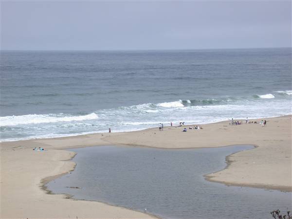 San Gregorio State Beach (SB) (8/3/2010)