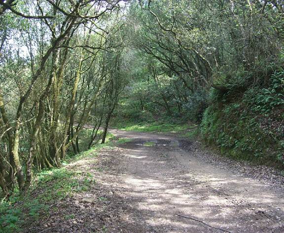 Tresch Dairy (12/31/2003)