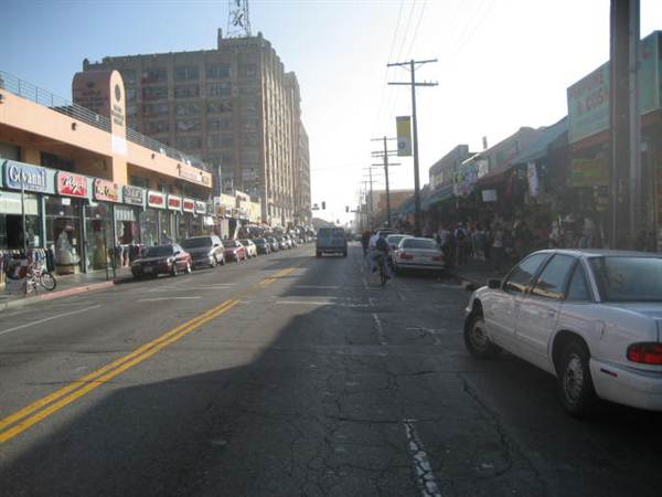 Maple Ave. (9/1/2010 - Credits: Lindsay Mizrahi)