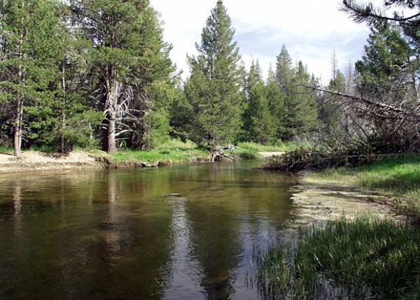 Washoe Meadows State Park (SP) (12/31/2003)