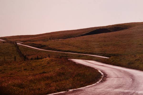 Bear River Ridge Road - Off HWY 101 (3/5/2008)