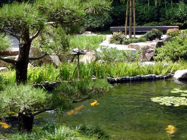 Earl Burns Miller Japanese Garden - California State University Long Beach - CSULB (9/11/2008)