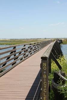 Bolsa Chica Ecological Reserve - California Department of Fish & Wildlife (CDFW) (4/5/2012)