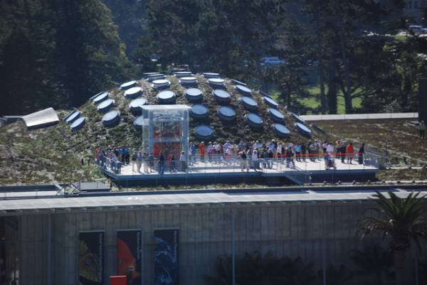 California Academy of Sciences (10/6/2008)