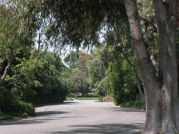 Chapman Woods Neighborhood Streets (10/10/2012)