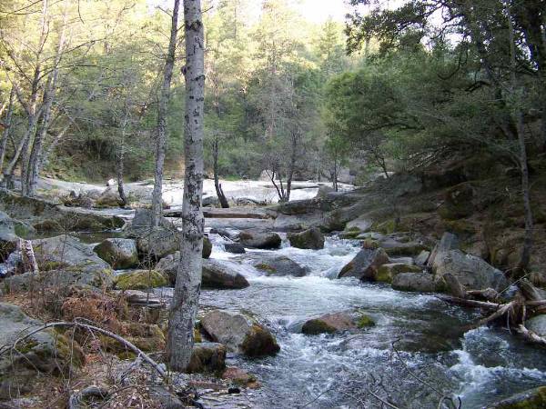 Willow Creek / Angel Falls / Devils Slide - More info ? Visit www.filmyosemite.com or call 559.760.1143 (2/5/2009)