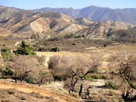 Heisenberg Heights Movie Ranch at Stallion Oaks Ranch (7/12/2013)