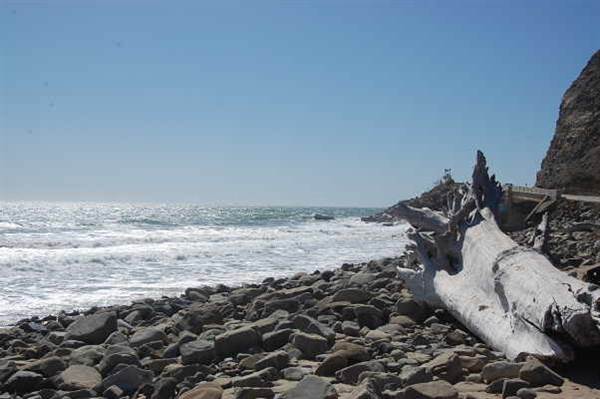 Sycamore Cove State Beach (SB) & Campground @ Point Mugu State Park (SP) - CFC (10/29/2013 - Credits: David Golden)