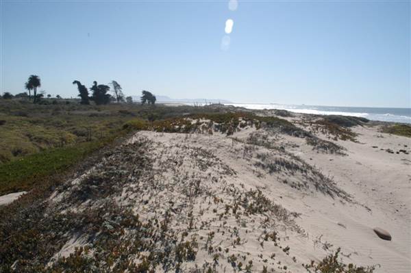 Emma Wood State Beach (SB) (11/4/2013 - Credits: David Golden)