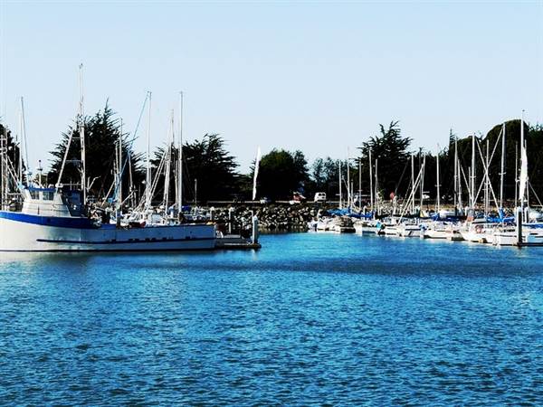 Eureka Woodley Island Marina (1/20/2014)