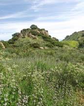 Santa Susana Pass State Historic Park (SHP) and former Spahn Movie Ranch (6/2/2014)