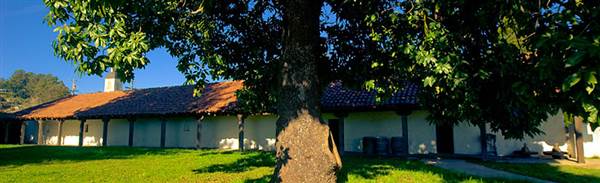 Santa Cruz Mission Adobe State Historic Park (SHP) (6/11/2014)