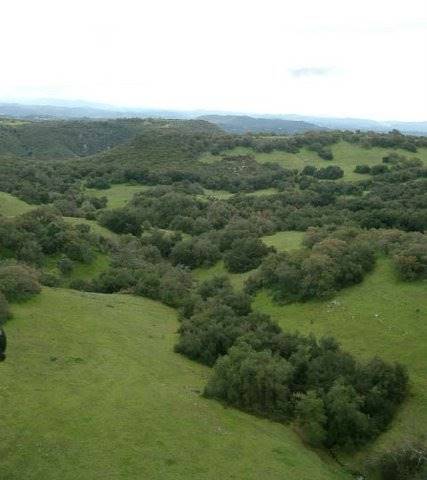 Santa Rosa Plateau Ecological Reserve - Riverside County & California Department of Fish & Wildlife (CDFW) (10/19/2015)