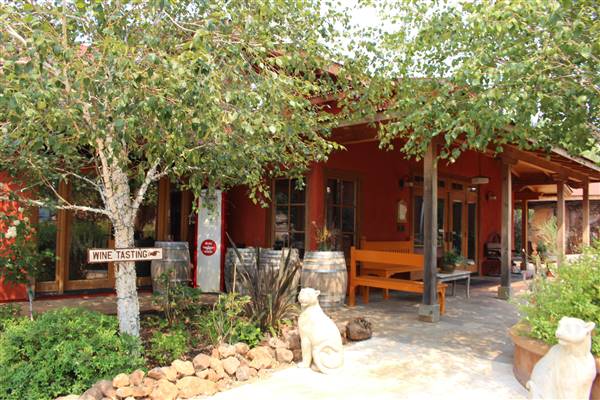 Anselmo Vineyard (10/29/2015)