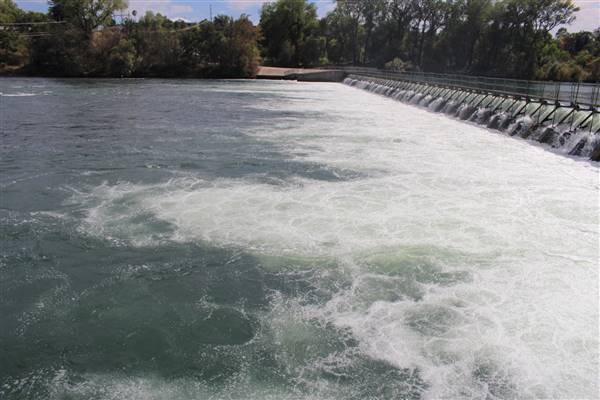 Lake Redding Park (10/30/2015 - Credits: Jill Naumann)