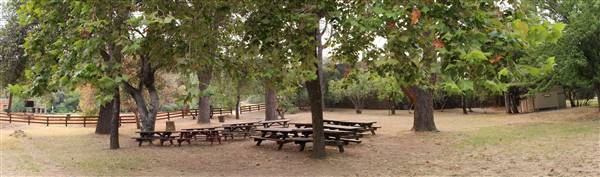Shasta State Historic Park (SHP) (10/30/2015 - Credits: Jill Naumann)
