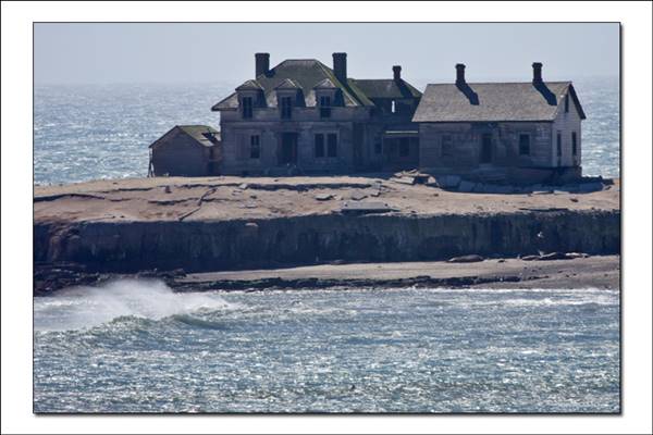 Año  Nuevo State Park (SP) (1/8/2016 - Credits: http://www.parks.ca.gov/ImageGallery/?page_id=523)