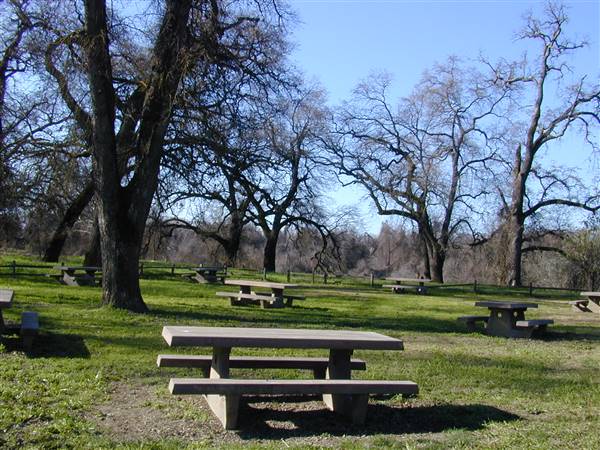 Bidwell-Sacramento River State Park (SP) (1/12/2016 - Credits: http://www.parks.ca.gov/ImageGallery/?page_id=463)