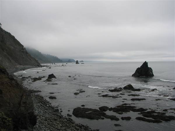 Del Norte Coast Redwoods State Park (SP) within the Redwood National and State Parks - http://stateparkclosurestrip.blogspot.com/ (3/2/2016 - Credits: Photo courtesy of Lucy D'Mot)