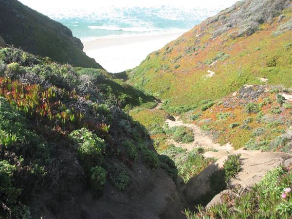 Garrapata State Park (SP) - http://stateparkclosurestrip.blogspot.com/ (3/2/2016 - Credits: Photo courtesy of Lucy D'Mot)