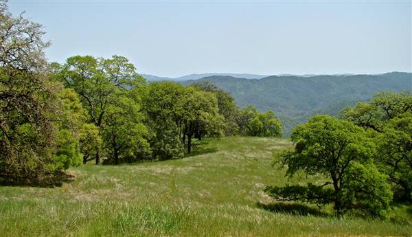 Henry W. Coe State Park (SP) - http://stateparkclosurestrip.blogspot.com/ (3/2/2016 - Credits: Photo courtesy of Lucy D'Mot)