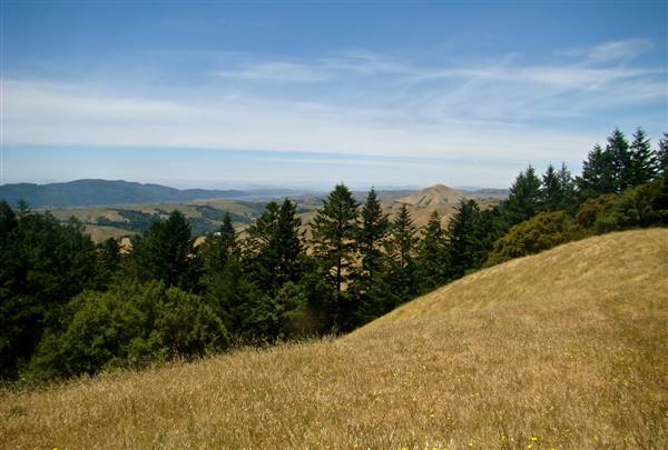 Samuel P. Taylor State Park (SP) - http://stateparkclosurestrip.blogspot.com/ (3/3/2016 - Credits: Photo courtesy of Lucy D'Mot)