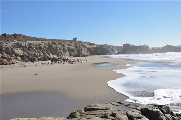 Leo Carrillo State Park and Beach (SP) (3/7/2016 - Credits: Photo courtesy of Robin Citrin)
