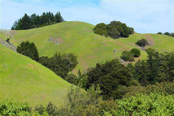 Mount Tamalpais State Park (SP) (3/9/2016 - Credits: Photo courtesy of Marin Convention & Visitors Bureau)