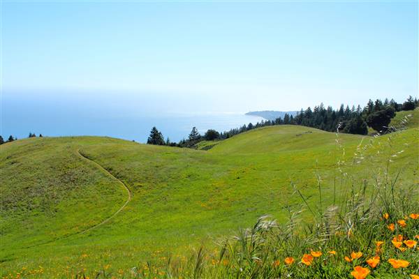 Mount Tamalpais State Park (SP) (3/9/2016 - Credits: Photo courtesy of Marin Convention & Visitors Bureau)