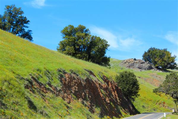 Mount Tamalpais State Park (SP) (3/9/2016 - Credits: Photo courtesy of Marin Convention & Visitors Bureau)