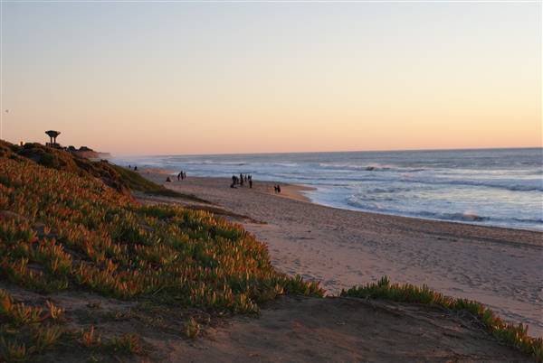 Half Moon Bay State Beach (SB) (3/10/2016 - Credits: Photo courtesy of San Mateo County Conference and Visitors Bureau)